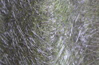 Lower Wainhill fibreglass roof work